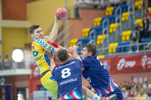 Przedstawiciele PGE VIVE nominowani do Gladiatorów