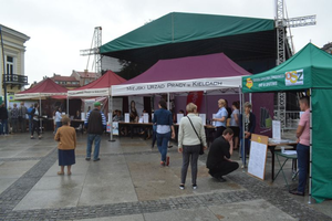 Targi Pracy na Rynku