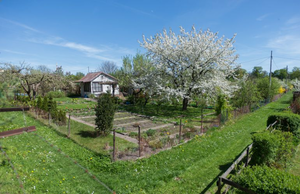 Działkowcy z pieniędzmi z ratusza. Będzie 8 inwestycji