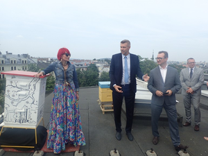 [VIDEO] Na dachu KCK stanął ul z pszczołami. Ruszyła akcja 