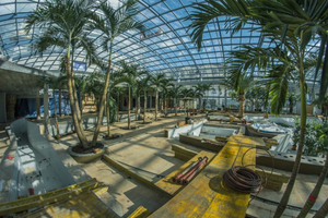 [GALERIA] Baseny Tropikalne prawie gotowe! Są już palmy!