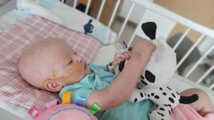 Hania napisała do swojej armii. 