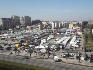 [WASZ NEWS] Nie wszyscy seniorzy pozostają w domach. Interweniuje Straż Miejska