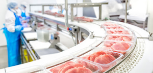 Wojewoda świętokrzyski: 