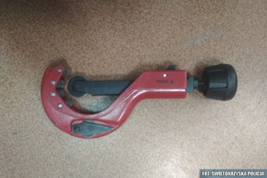 Sprawcy kradzieży zatrzymani na gorącym uczynku