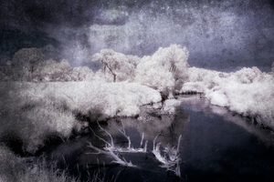 Pokonkursowa wystawa 