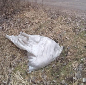 Martwy pies w worku porzucony przy leśnej drodze. 