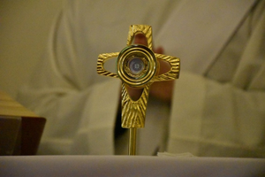 Młodzi przyjęli relikwie bł. Carlo Acutisa