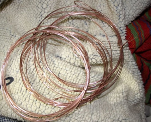 Kłusownicy w lasach. Giną sarny, jelenie i zające