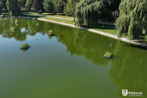 Kryzys w stawie w Parku Miejskim zażegnany. Ryby już nie są zagrożone