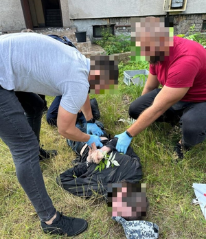 Rzucał w policjantów płonącymi butelkami z benzyną