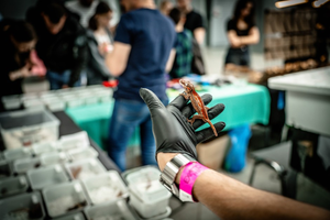 Będzie bardzo egzotycznie. Exotic Fest zawita do Kielc