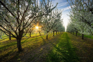 Tęskno do lata… kiedy ocieplenie?