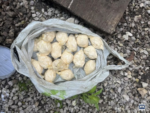 Nietypowa skrytka na terenie posesji, a w środku prawie dwa kilogramy narkotyków