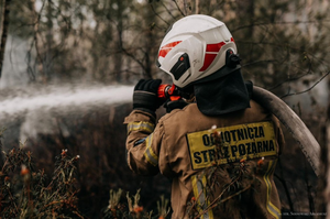 Pożary lasów i czad w mieszkaniach. Upał przysporzył strażakom pracy