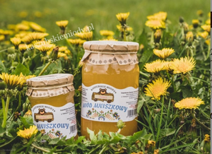 Miód mniszkowy – właściwości, zastosowanie i dlaczego warto po niego sięgać