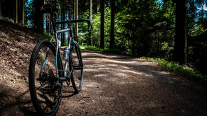 Rower dla seniora. Jak wybrać odpowiedni model?