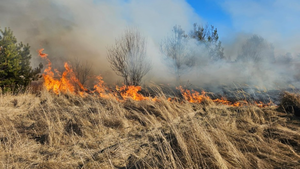 Wyrzucił niedopałek i doprowadził do dwóch pożarów