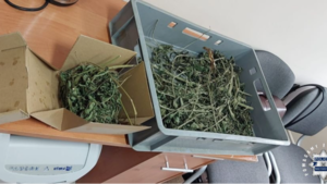 Jazda „z problemami”. Kierowca z narkotykami, przy sobie miał je też pasażer