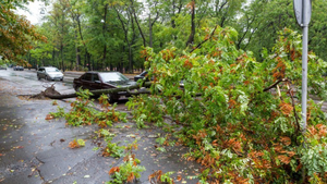 Niedzielne wichury przysporzyły strażakom pracy