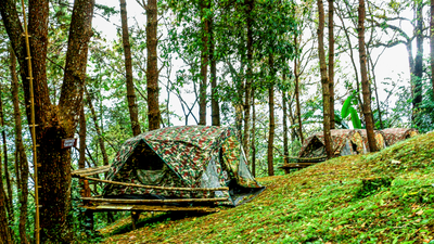 Obóz przetrwania dla dzieci: 5 rzeczy, które każdy młody podróżnik powinien wiedzieć przed wyjazdem