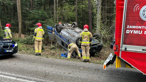 Sarna na drodze i dachowanie radiowozu