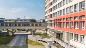 Kursy maturalne w Kielcach - jak zdać maturę bez stresu?