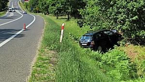 Samochód uderzył w drzewa, dwie osoby w szpitalu