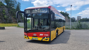 Wakacyjne linie autobusowe ruszą w miasto