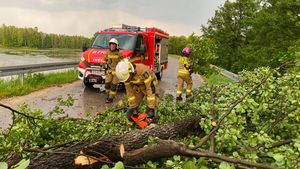136 interwencji i sporo zniszczeń. Przez region przeszły groźne nawałnice