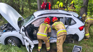 Wypadek w miejscowości Kliszów. Strażacy wydobyli z auta nieprzytomnego kierowcę