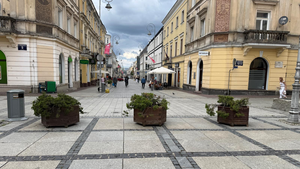 Czy i kiedy słupki zastąpią donice na ul. Sienkiewicza? Miasto wciąż analizuje rozwiązania