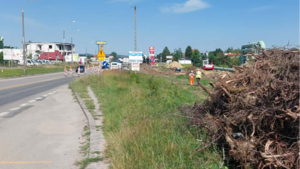 Twój News: Ciężki żywot pieszego na Łódzkiej