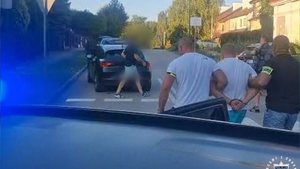 Kradzież, gleba i areszt. Złodziej samochodów zatrzymany przez policjantów