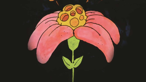 Monterey Pop i spotkanie z Piotrem Metzem w kinie „Fenomen”
