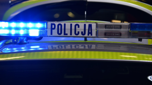 Makabryczne odkrycie policjantów. Truchła szczeniąt i dwieście psów