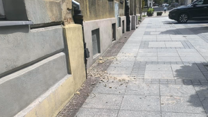 Twój News: Tynk sypie się z kamienicy przy ulicy Mickiewicza w Kielcach